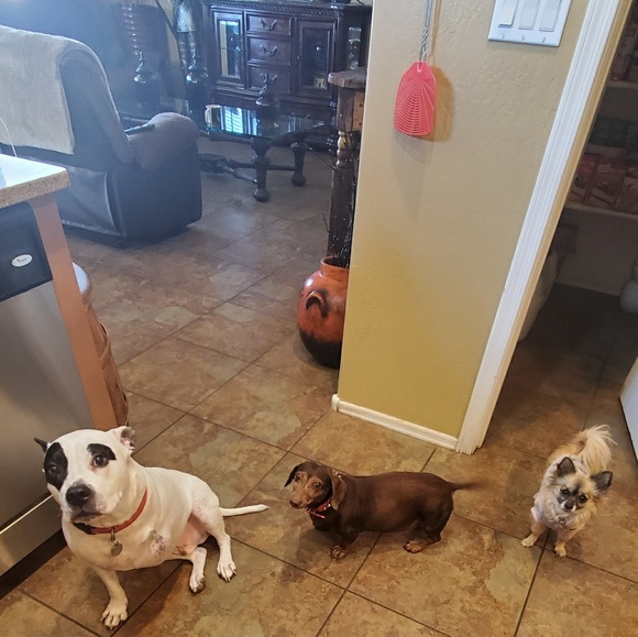 Meet your Posher, Claudia - Picture 1 of 1